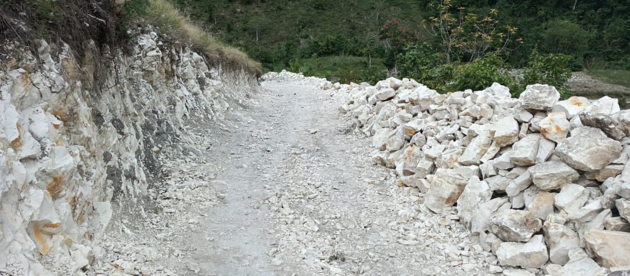 La route de Guinaudée à Jérémie : un passage oublié au détriment de l’économie agricole locale